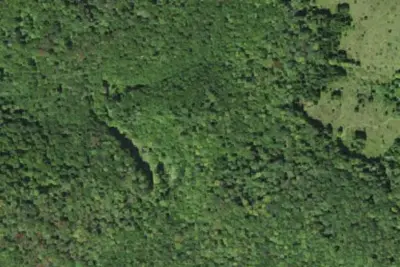 Camp site