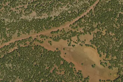 Schnebly Hill Road Dispersed