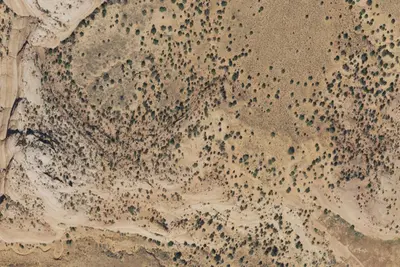 Camp site