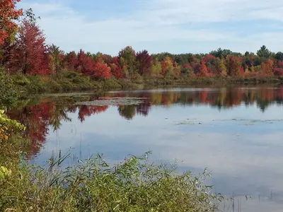 HMNF BrushLake 9202014 (15359328512)