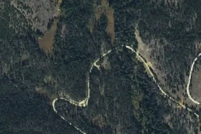 Logged Area