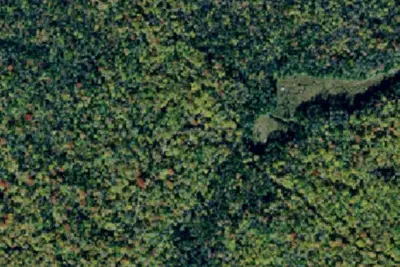 Camp site (NY DEC)