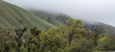 Grapevine, California - panoramio