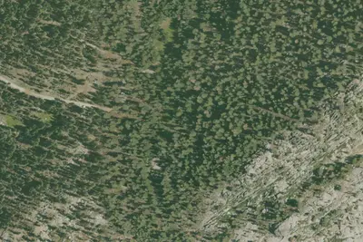Camp site