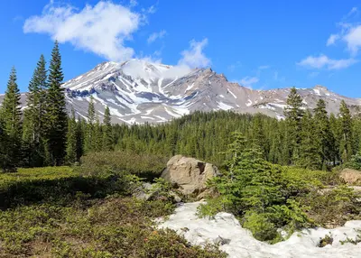 Mount Shasta as seen from Bunny Flat