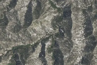 Camp site