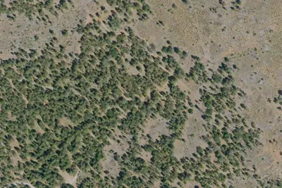 Ridge Campground