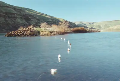 02-02-07, swimming area - panoramio