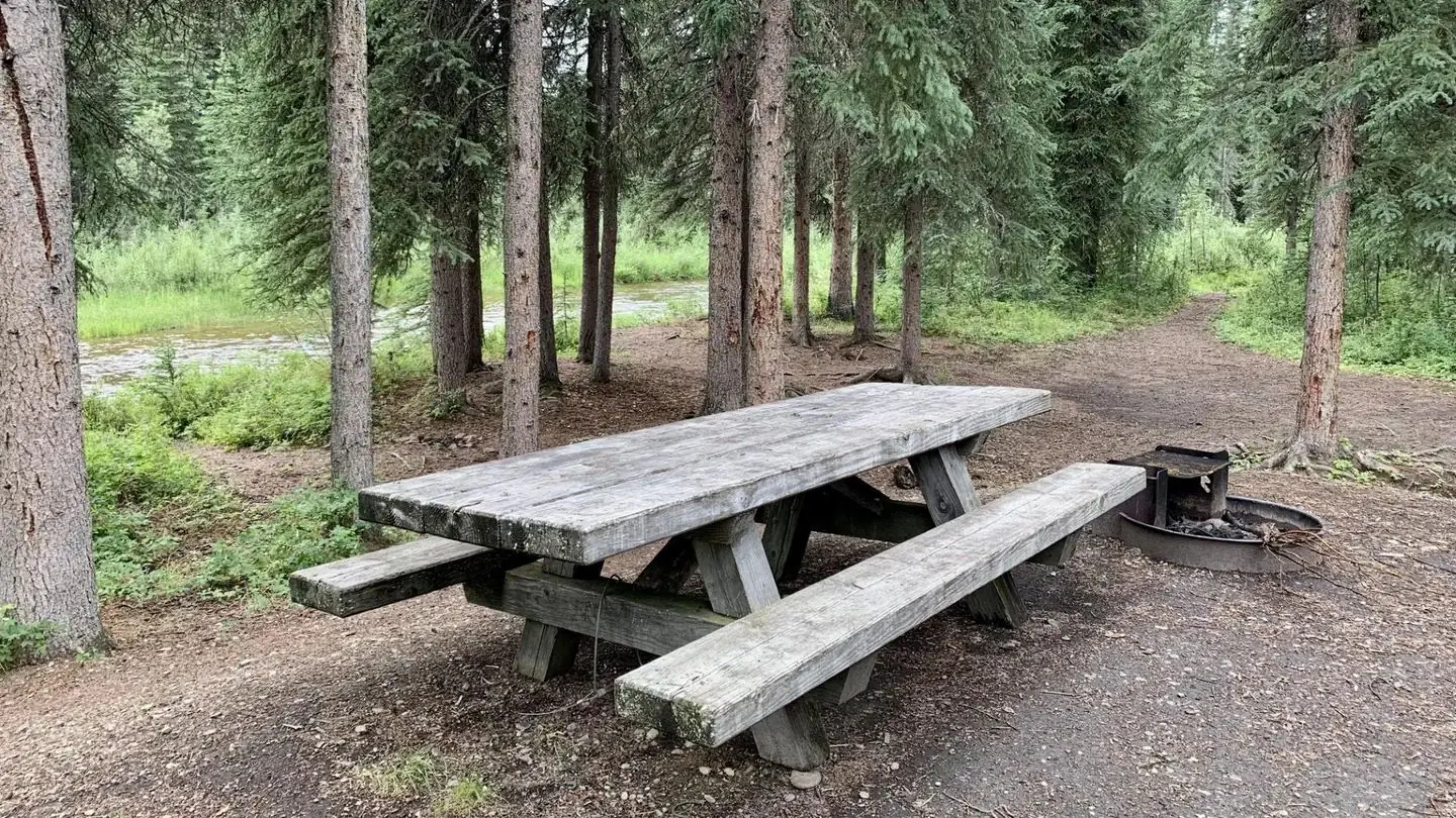Ophir Creek Campground Typical Campsite