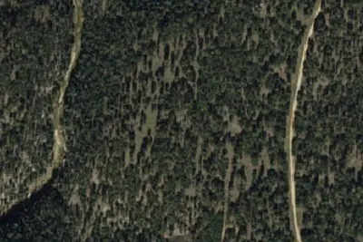 Camp site
