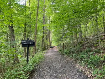 Fowler's Hollow - 52138813345