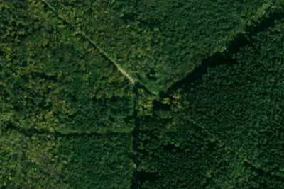 Camp site
