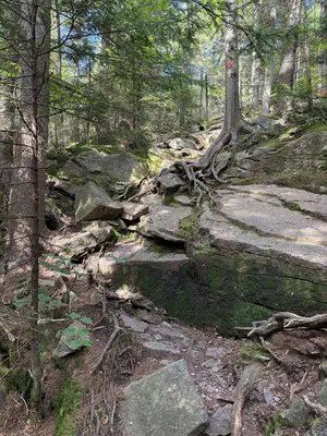 2025-07-21 16 12 55 View east along the Wittenberg-Cornell-Slide Trail (Burroughs Range Trail) ascending the west side of Cornell Mountain in Shandaken, Ulster County, New York