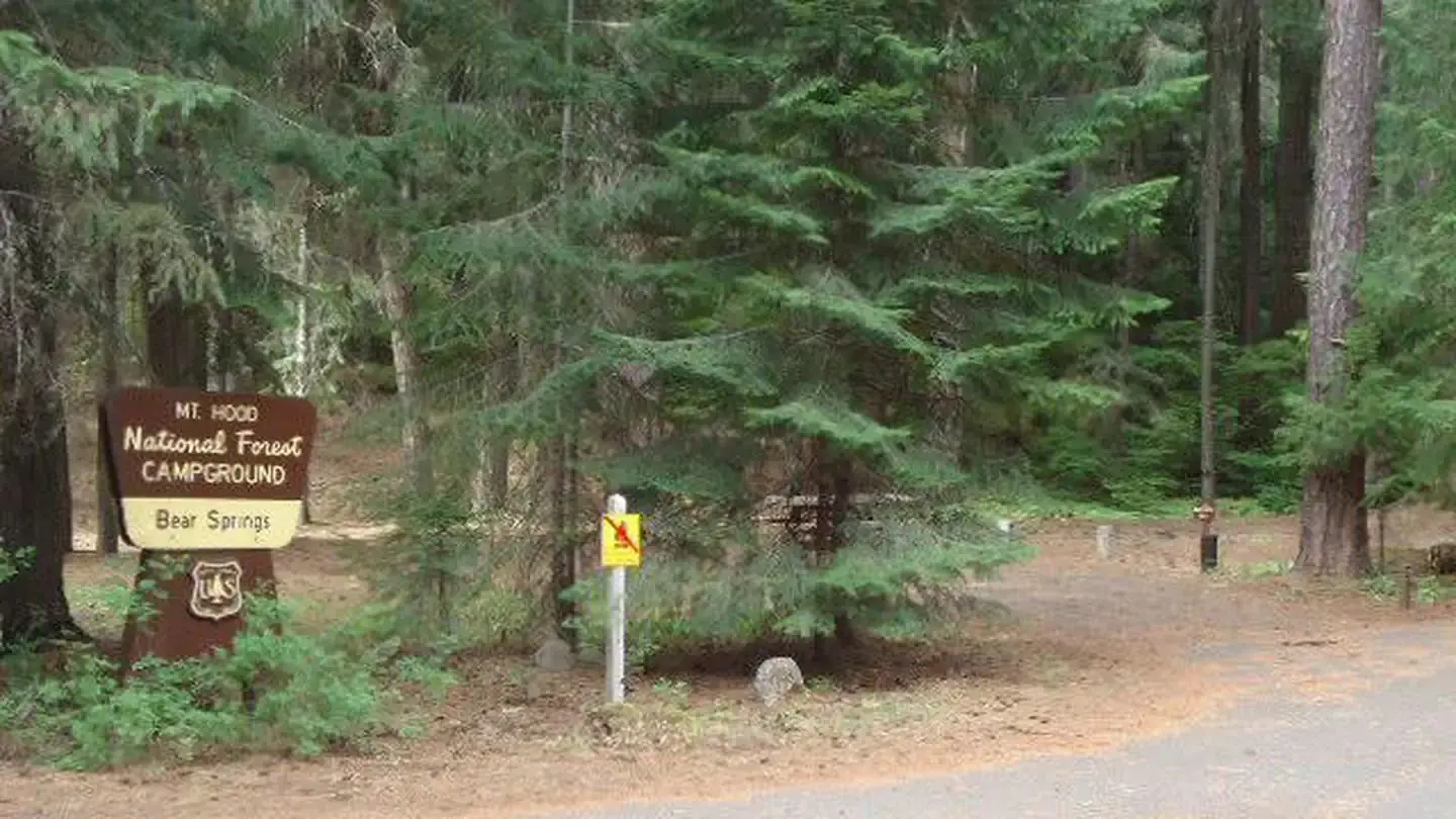 Bear Springs