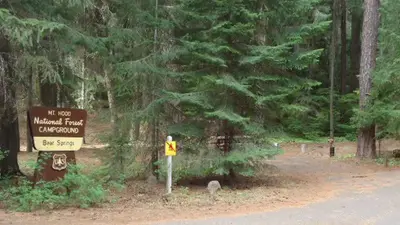 Bear Springs Campground
