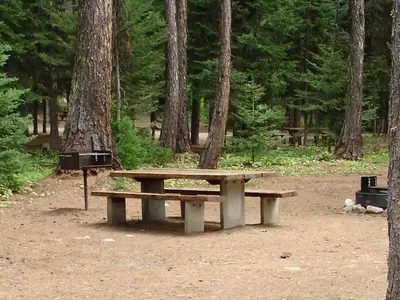 Campsite in forested setting