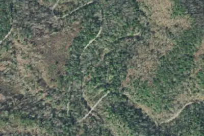 Camp site