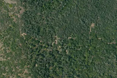 Deer Horn Camp 2