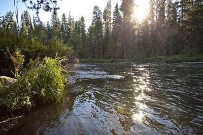 North Davis Creek