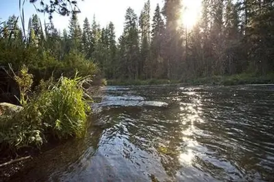 North Davis Creek Campground
