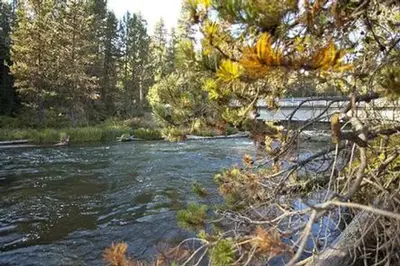 North Davis Creek Campground