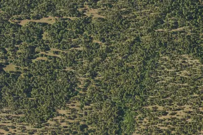 Camp site