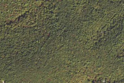 Camp site