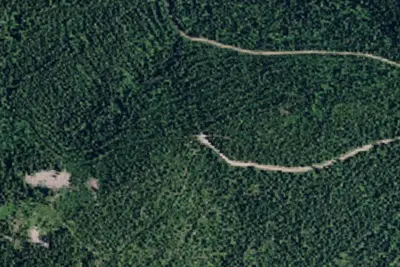 Rd 215 Site 17