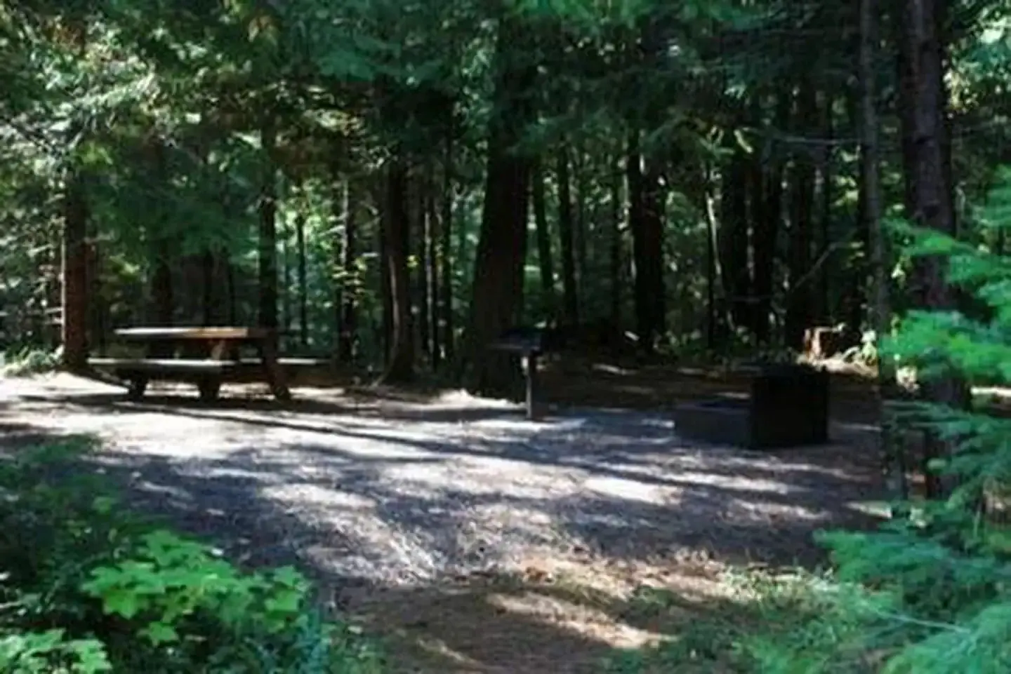 Campsite in forest with picnic table in dappled sun and grill and fire pit in shade.