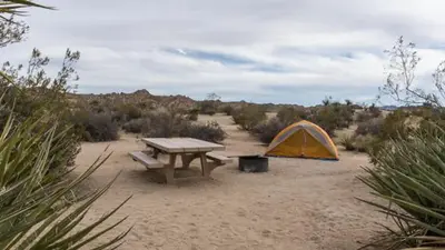 Cottonwood Campground (Ca)