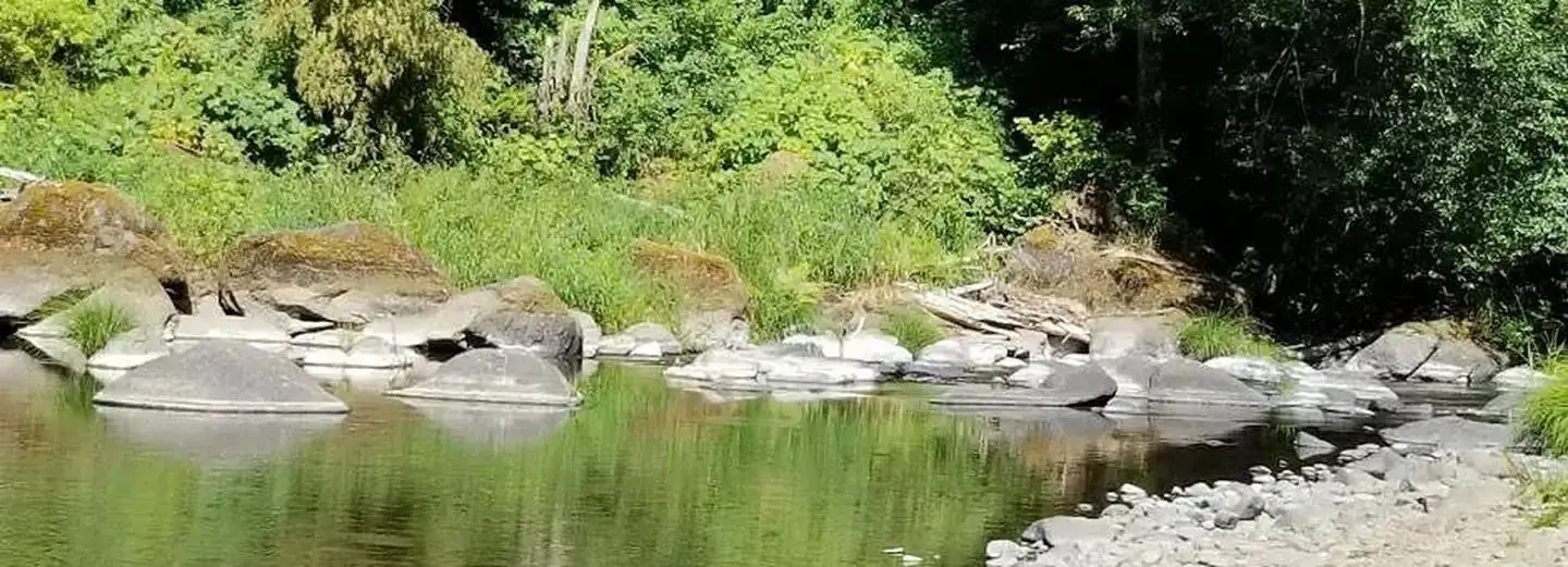 Rocky Bend Group Campground on the banks of the Nestucca River