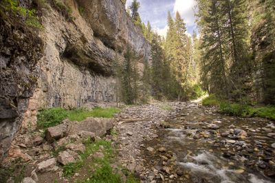Pebble Creek (greg-willis.com) - panoramio