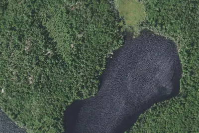Camp site (Superior National Forest)