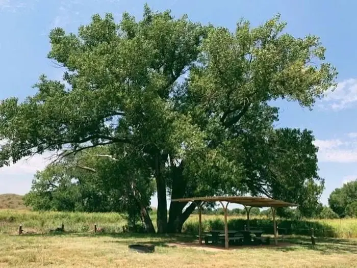 Plum Creek Campground