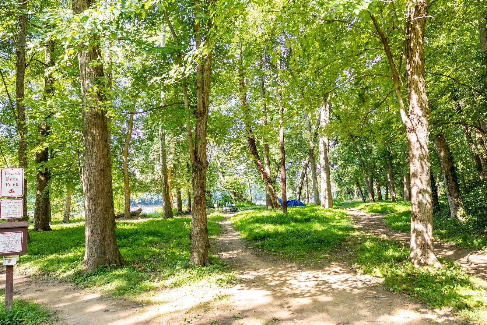 Swains Lock Campsite