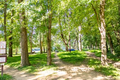 Swains Lock Hiker-Biker Campsite