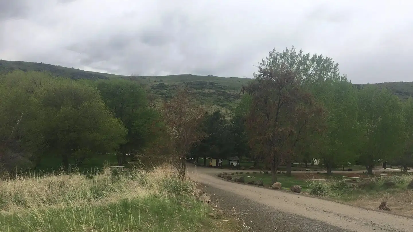Mann Creek Campground Overview