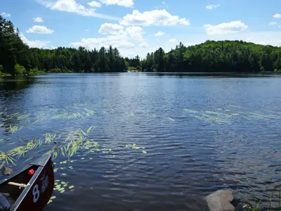 Hornbeam Lake North side - panoramio