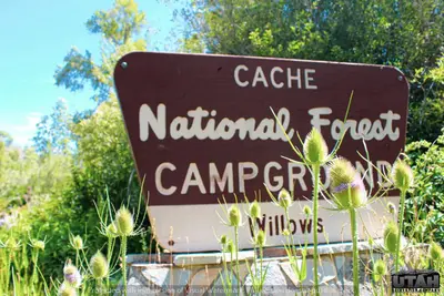 Willows Campground sign