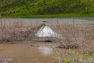 Aufeis cone at Joe Creek-Firth River confluence, Ivvavik National Park, YT