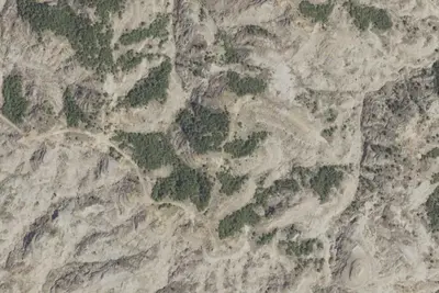 Camp site
