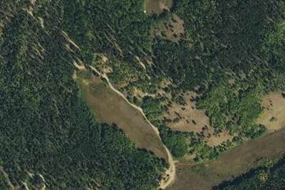 Camp site