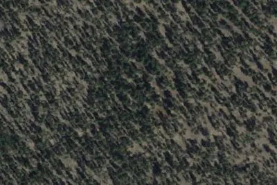 Little Elden Spring Horse Camp