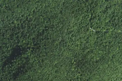 Camp site