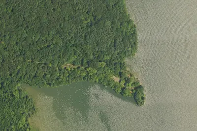 Bacon Creek Primitive Horse Camp