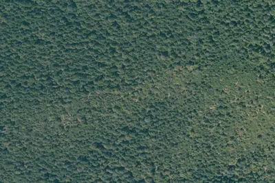 Camp site