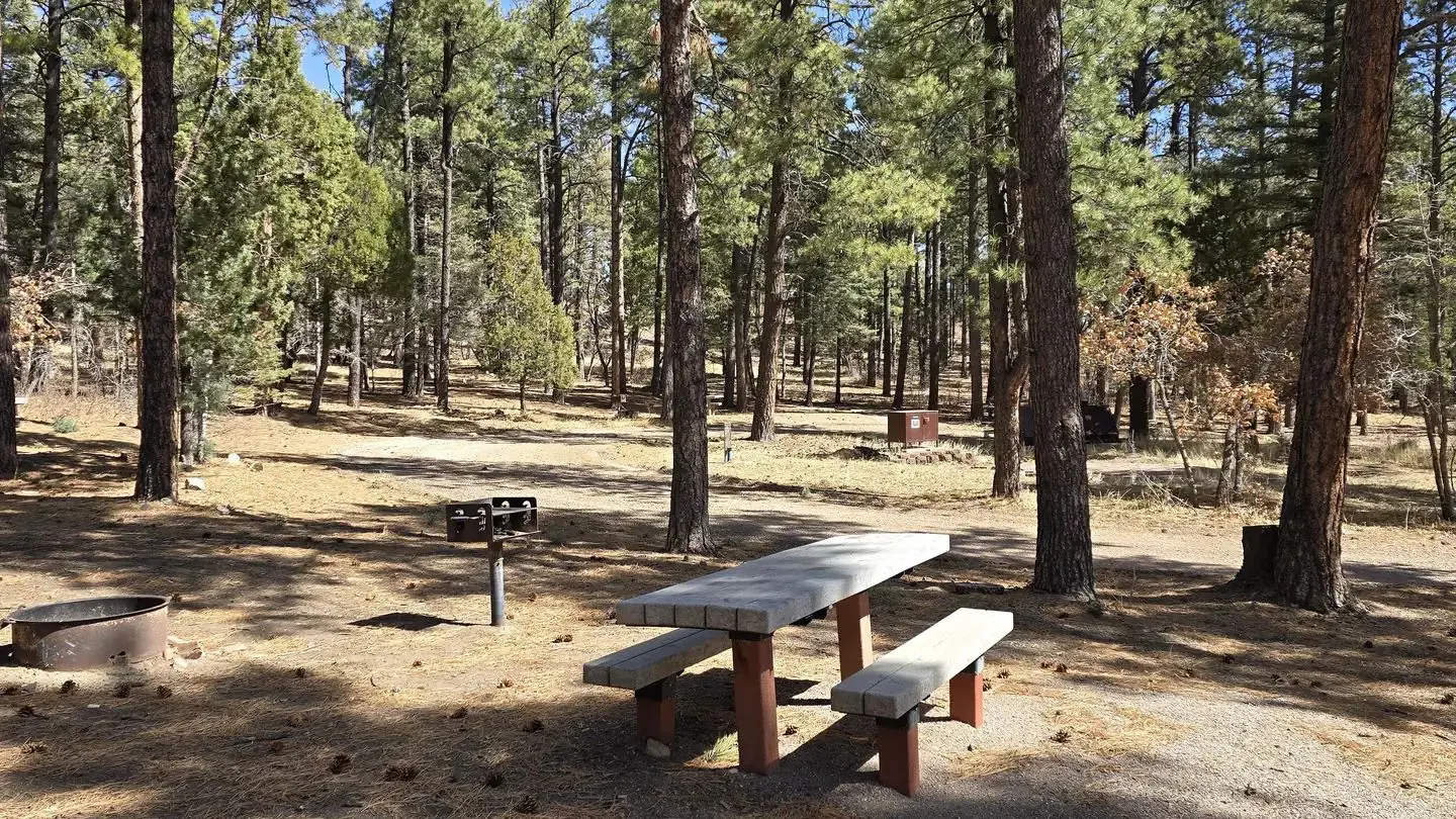 Campsite in the spring