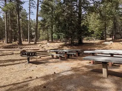 Group Picnic Area