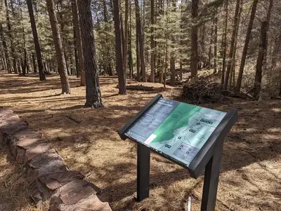Interpretive Signage