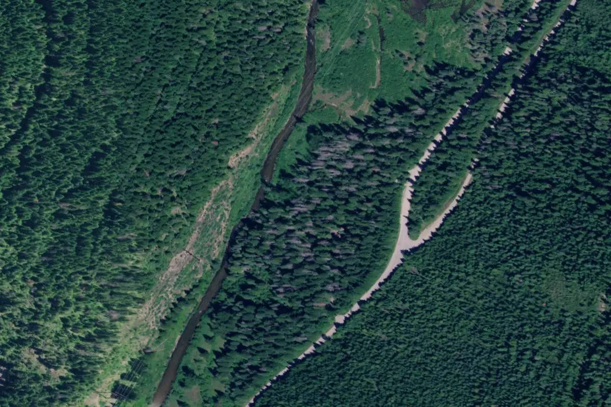 Aerial view